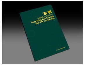石家莊設(shè)計(jì)公司 如何通過(guò)多元化設(shè)計(jì)服務(wù)提升品牌影響力？